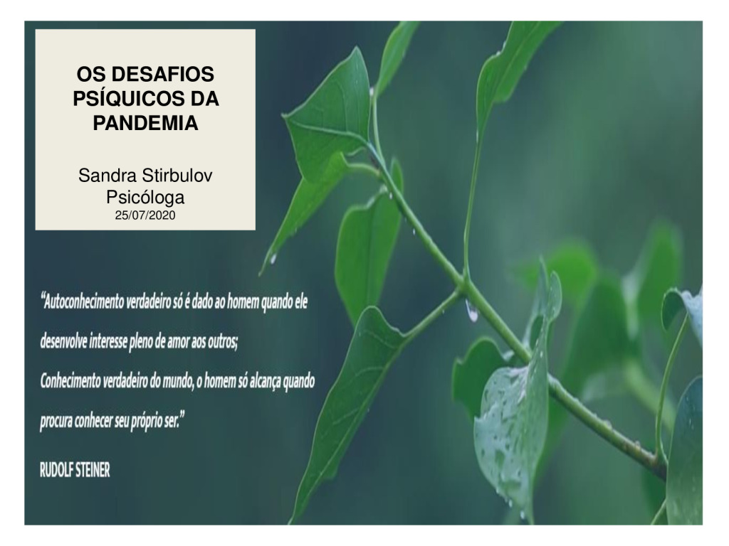 thumbnail of OS DESAFIOS PSIQUICOS DA PANDEMIA- Sandra Stirbulov – versão 3